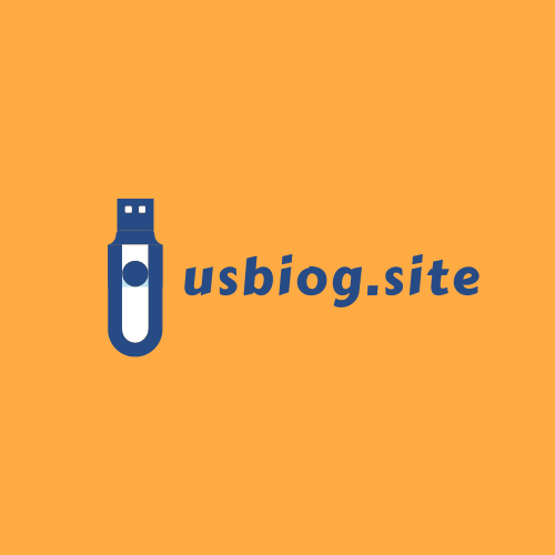 usbiog.site
